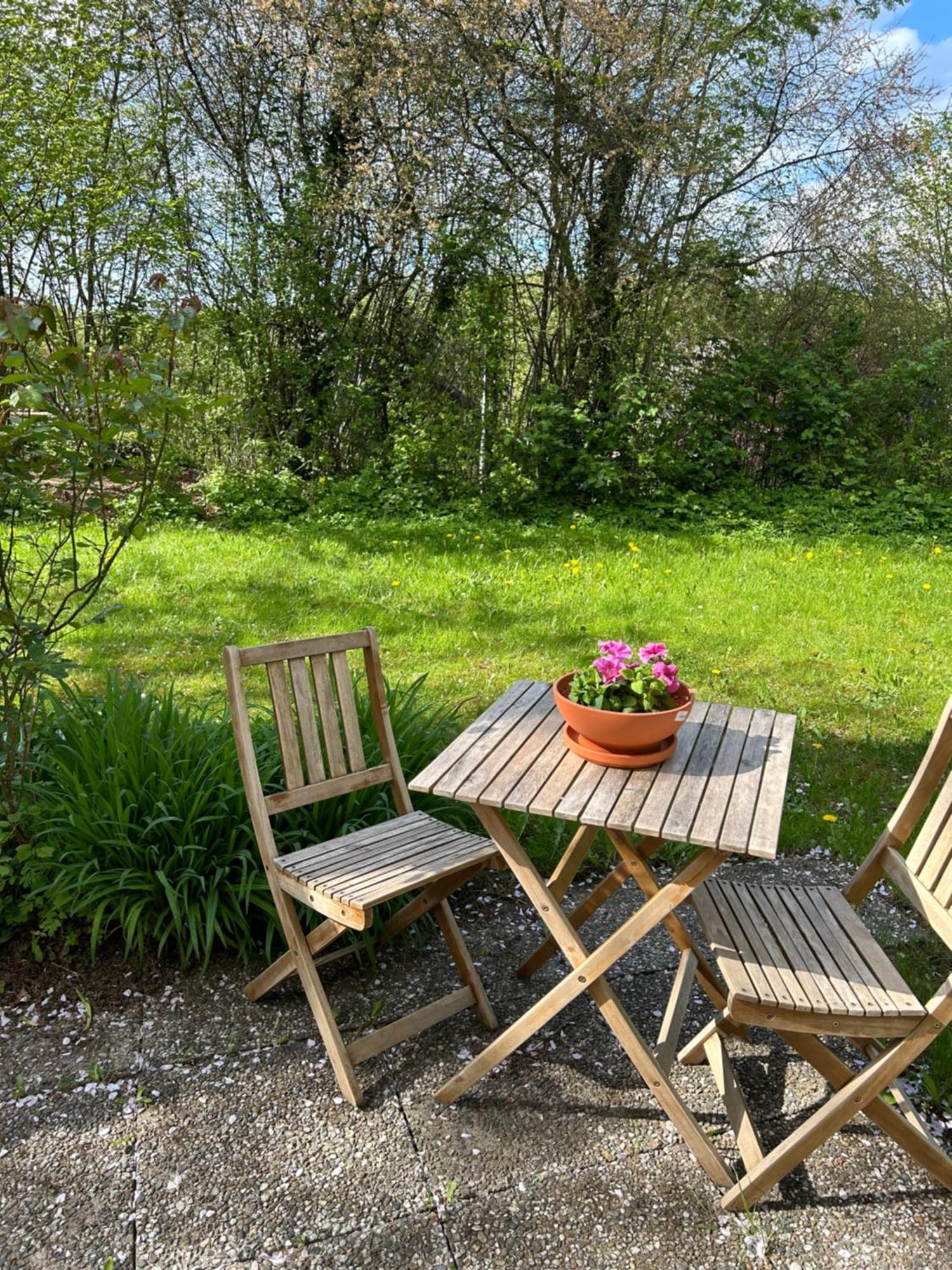 Mitten Im Gruenen - Apartment Mit Wohlfuehlcharakter In Stadtrandlage Eutin Esterno foto